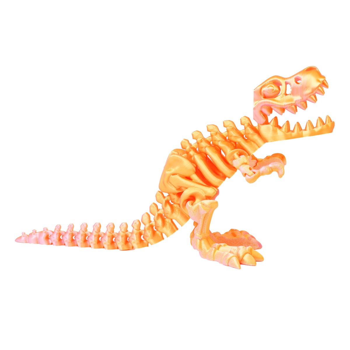Skeleton Rex - product gallery photo 5