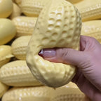"Crunchy" Peanut Squishy