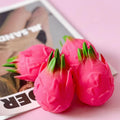 Dragonfruit Squishy
