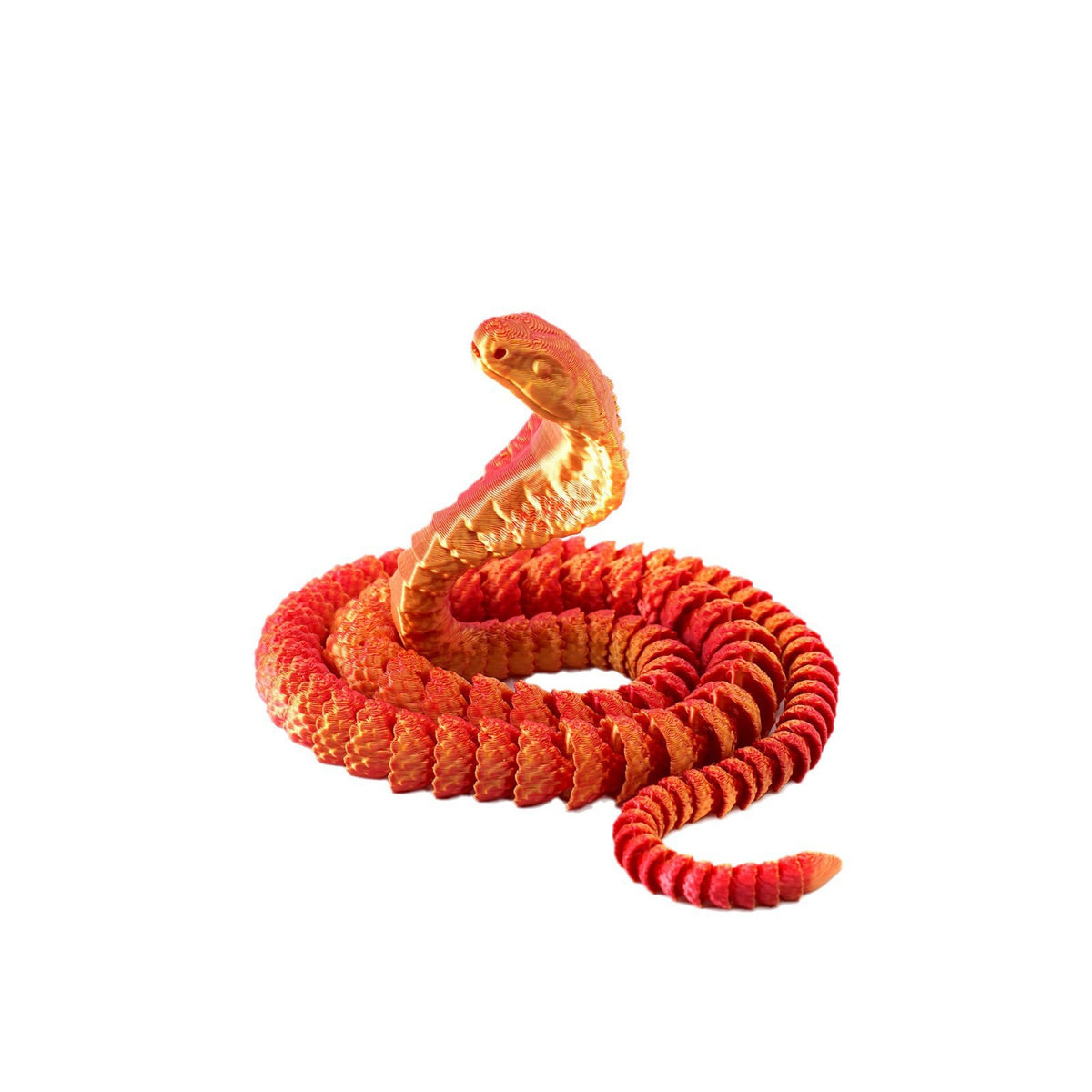 Coil Cobra - product gallery photo 4