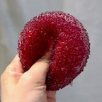 Slushy Squishy Ball