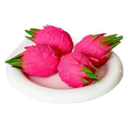 Dragonfruit Squishy
