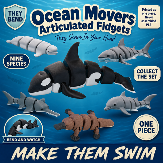 Ocean Movers - S&S Village
