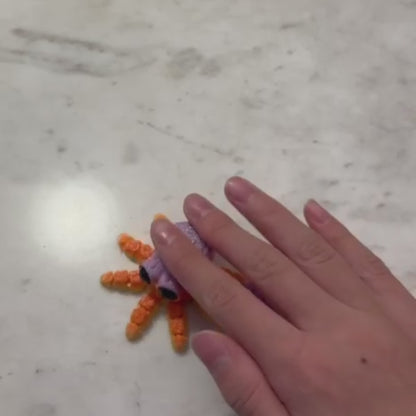 Magnet Octopus