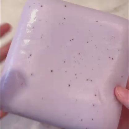 Toast Squishies