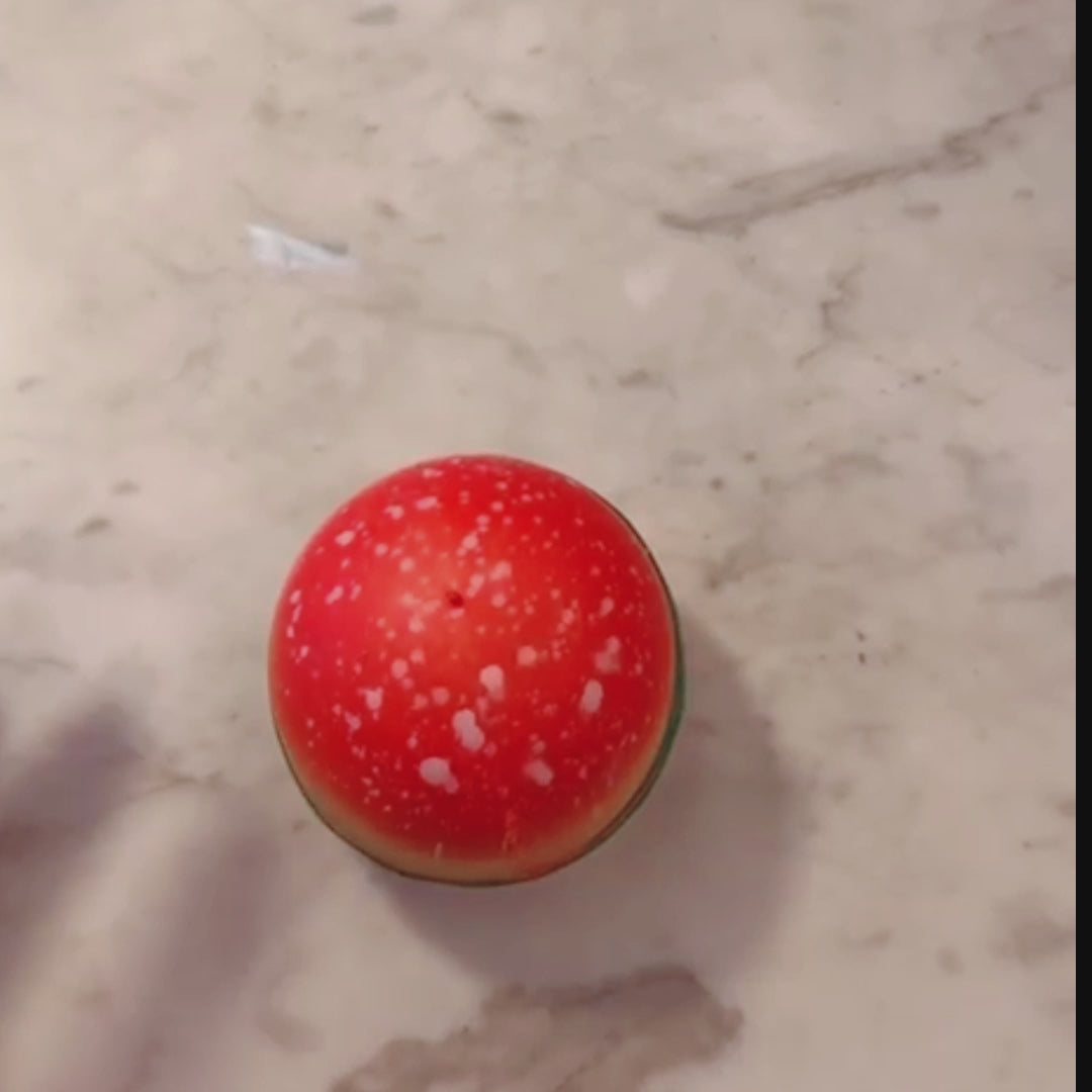 Hamburger Squishy