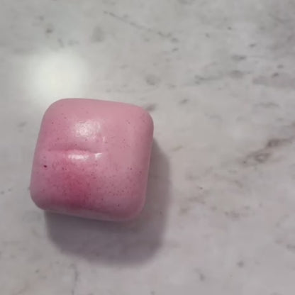 Mini Toast Squishies